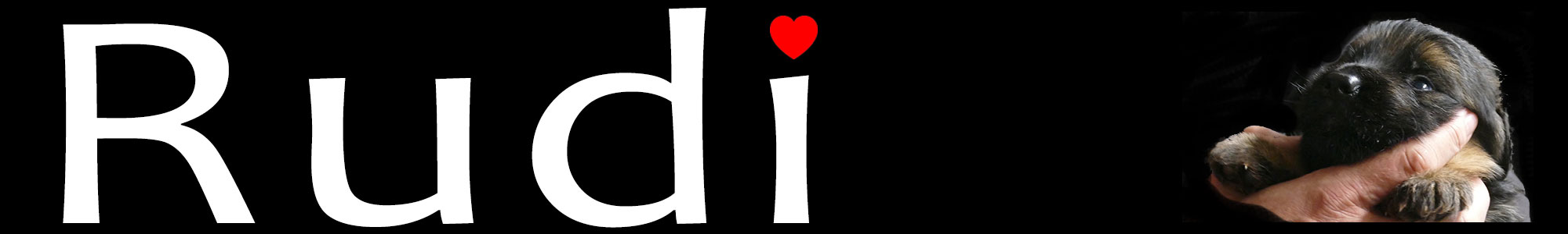 Rudi Logo